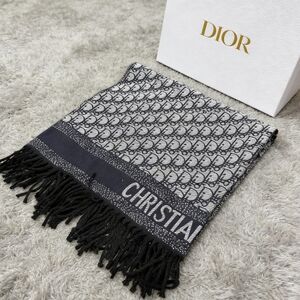 Dior Oblique Navy Blue  Grey Scarf